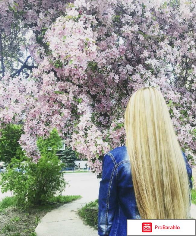 Краска для волос перфект мусс отзывы обман