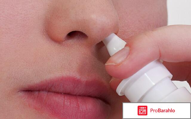 Мамат рино отзывы обман