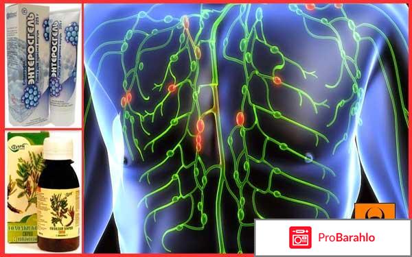 Очищение лимфы солодкой и энтеросгелем отзывы врачей обман
