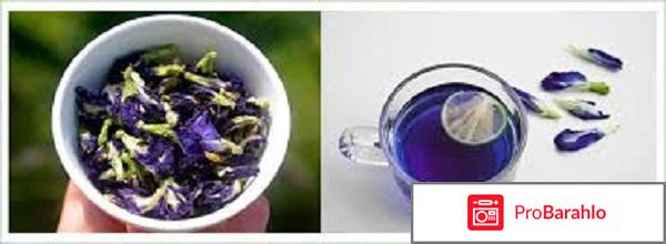 Пурпурный чай чанг-шу отзывы реальные цена в аптеке обман