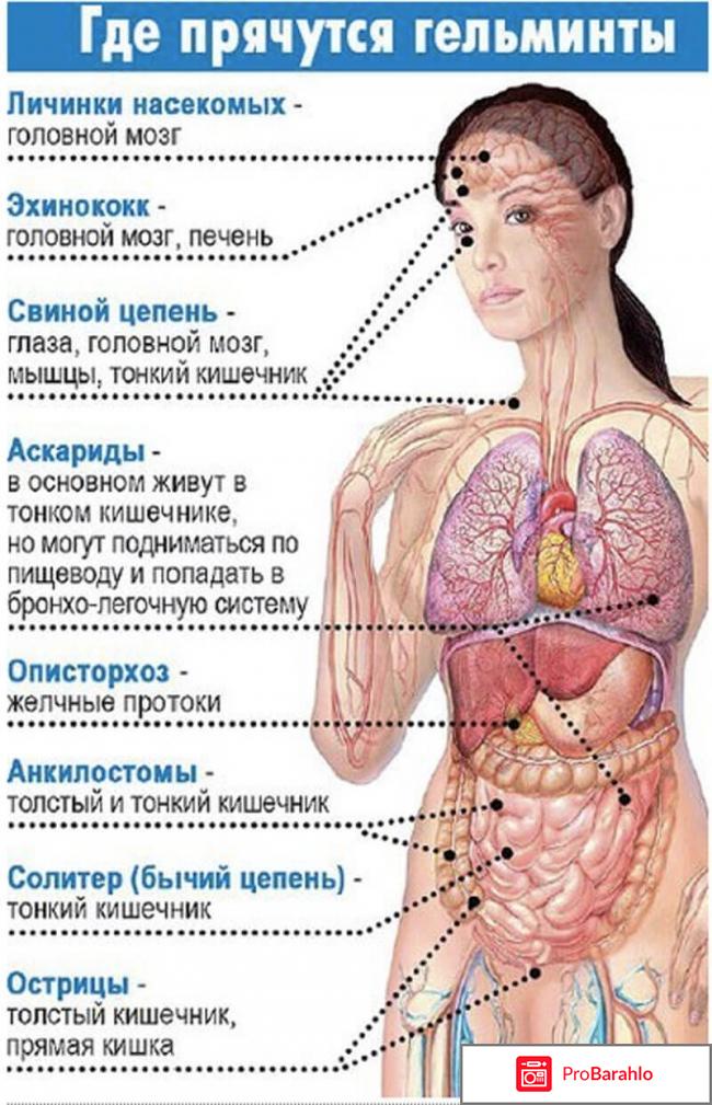 Detoxic (Детоксик) отрицательные отзывы