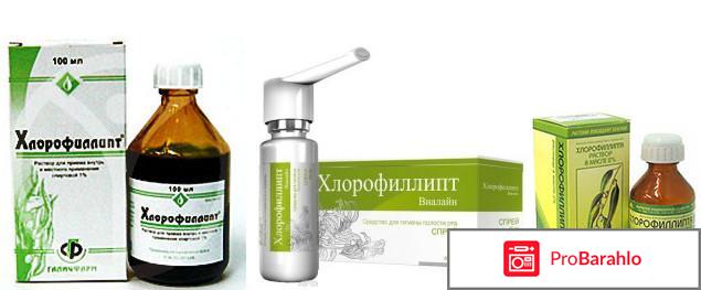 Хлорофилипт отрицательные отзывы