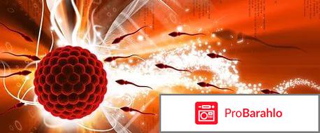 Донор спермы стоимость 