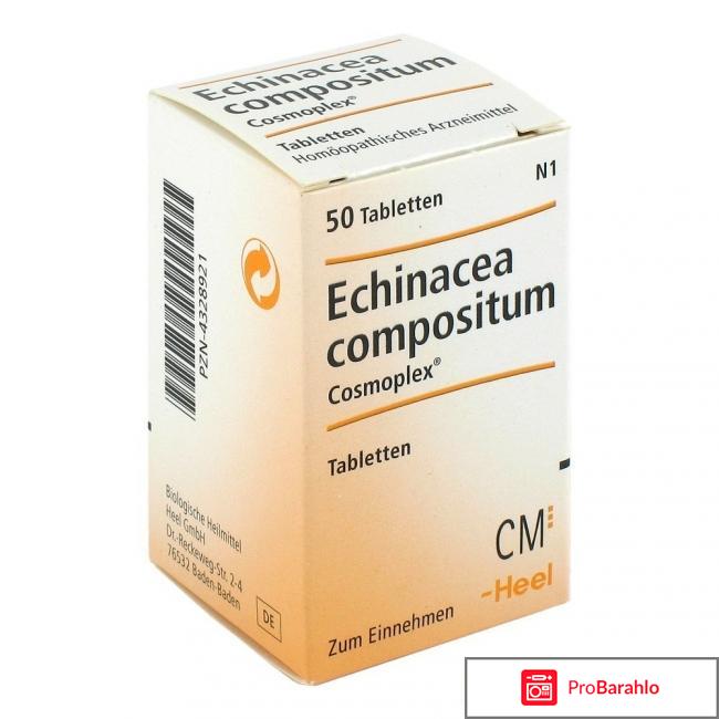 Эхинацея композитум 