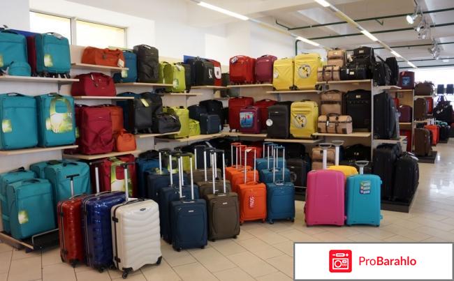 Чемоданы робинзон 