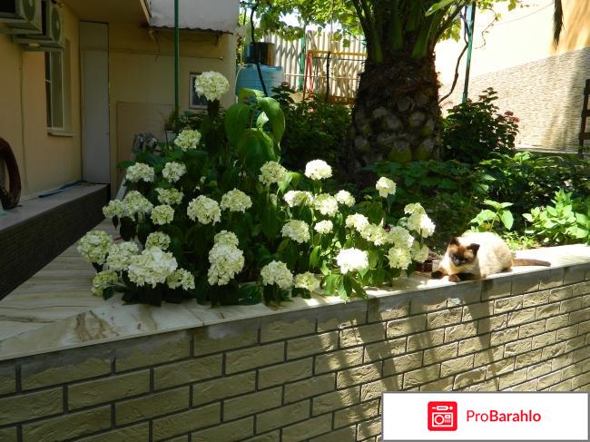 Мини отель Горный Простор, Адлер отрицательные отзывы