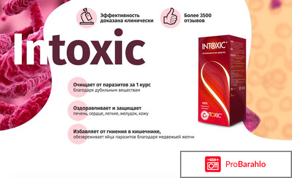 Intoxic состав отрицательные отзывы
