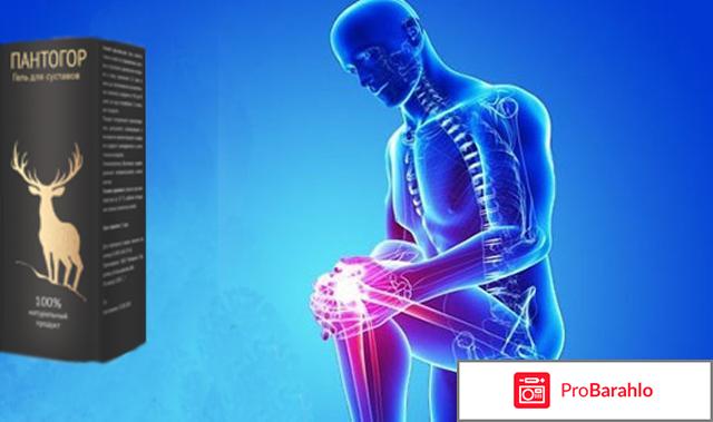 Пантогор гель купить отрицательные отзывы