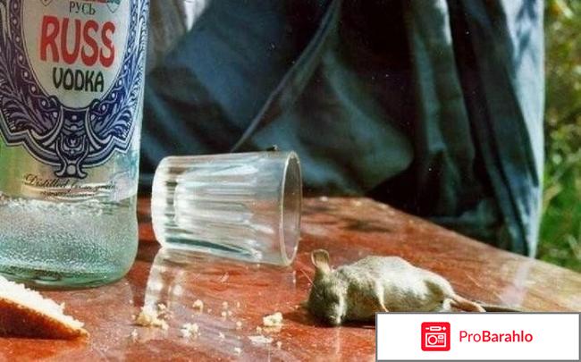 Эффективное лечение алкоголизма реальные отзывы
