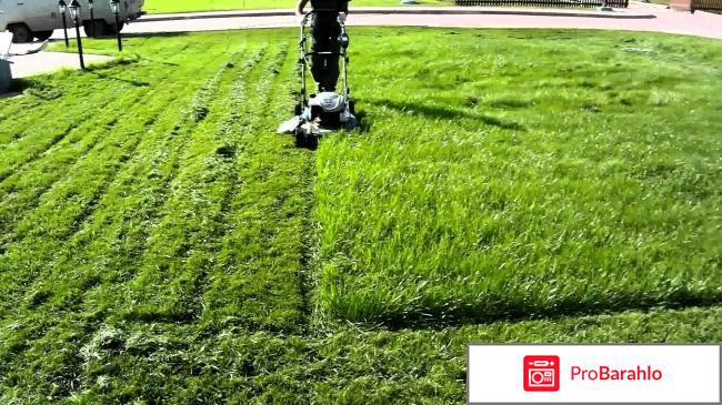 Стрижка и удобрение газонов отрицательные отзывы