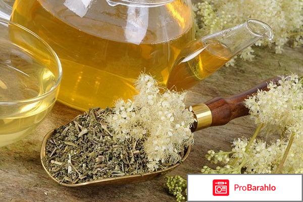 Таволга отрицательные отзывы