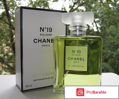 Chanel №19 Poudre 