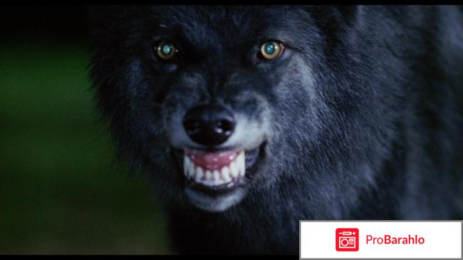 Фильм крупная рыба отзывы обман