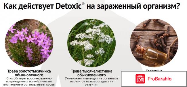 Detoxic от паразитов: цена, отзывы, купить Детоксик реальные отзывы