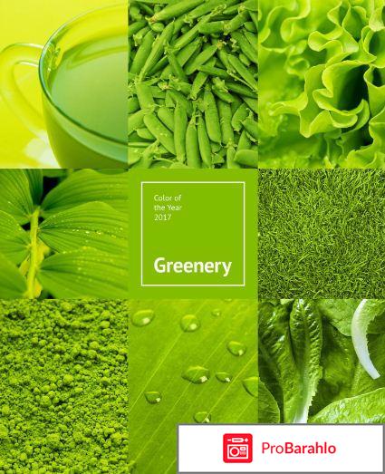 Цвет 2018 года обман