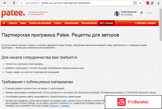 Заработок на сайте Patee.ru 