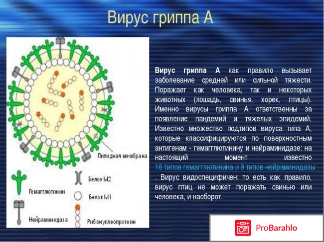 Чего боится вирус гриппа 