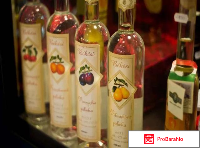 Будапешт шоппинг отзывы туристов отзывы владельцев