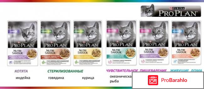 Корм для кошек ProPlan 