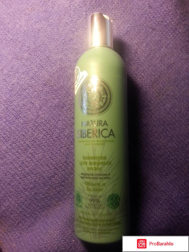 Шампунь для жирных волос Natura Siberica реальные отзывы