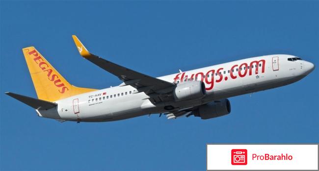 Pegasus airlines обман