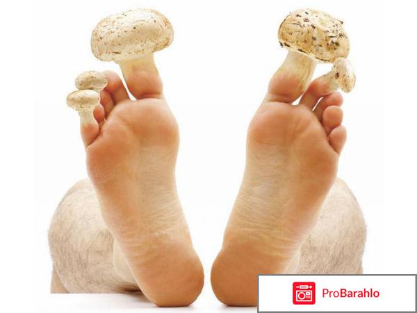 Стоп актив развод обман