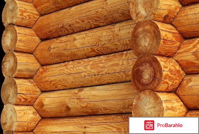 Бревно лиственница