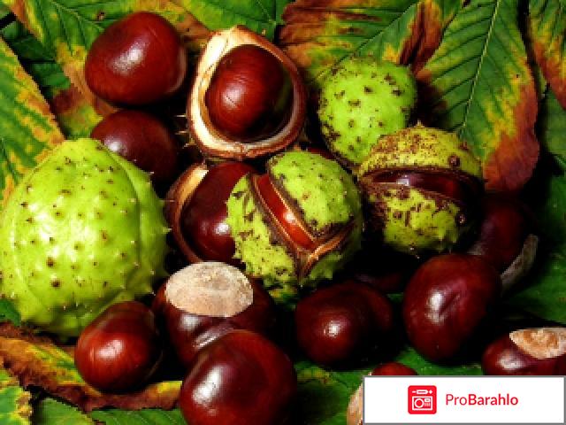 Нормалифе отзывы врачей обман