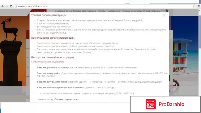 Авиакомпания северный ветер официальный сайт фото