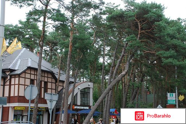 Светлогорск отзывы туристов отзывы владельцев