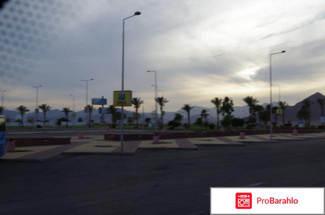 Египет в декабре погода отзывы туристов