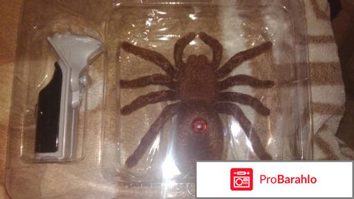 Радиоуправляемый тарантул. обман