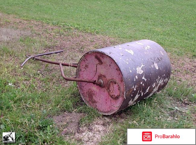 Газон и уход за ним отрицательные отзывы