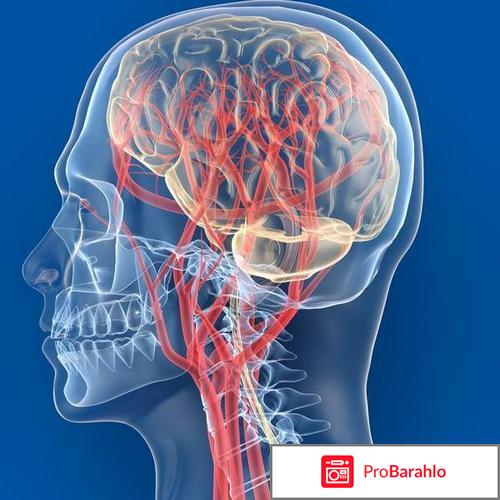 Галидор инструкция по применению цена отзывы отрицательные отзывы