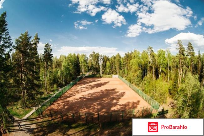 Лесные дали реальные отзывы