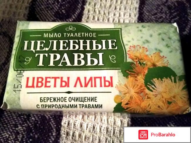 Мыло туалетное Нэфис Косметикс Целебные травы 