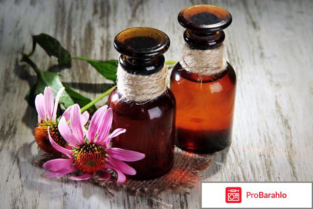 Эхинацея для иммунитета детям отрицательные отзывы