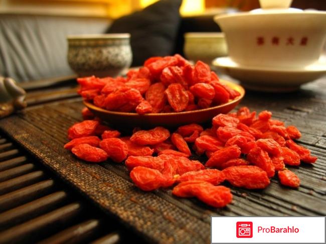 Ягоды годжи полезные свойства обман