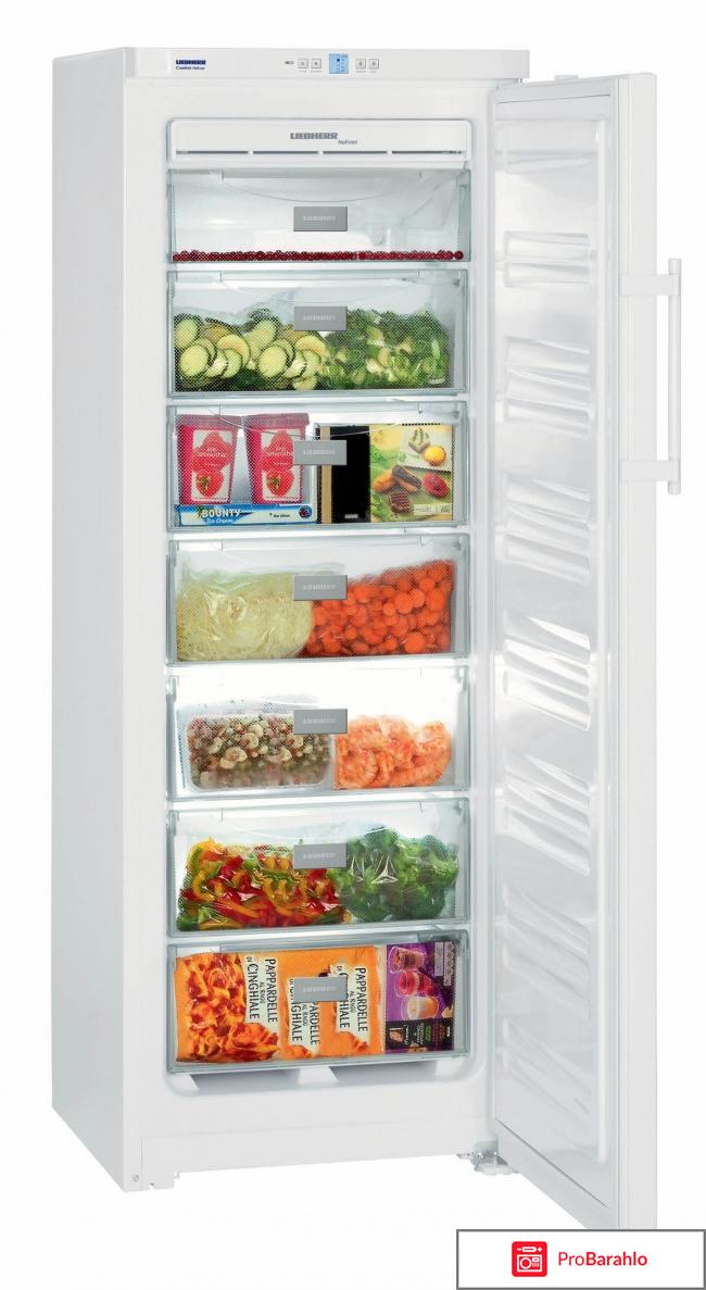 Морозильная камера отзывы покупателей обман