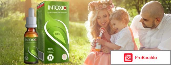 Intoxic plus развод 