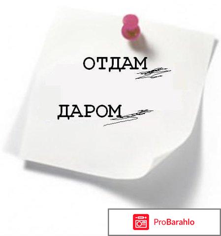 Отзывы о сайте барахла нет 