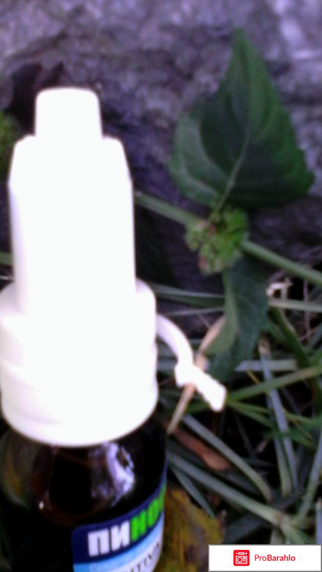 Капли назальные Пиносол отзывы владельцев