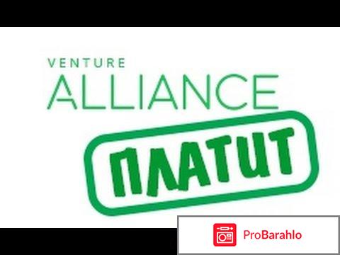 Venture Alliance – развод, лохотрон? 