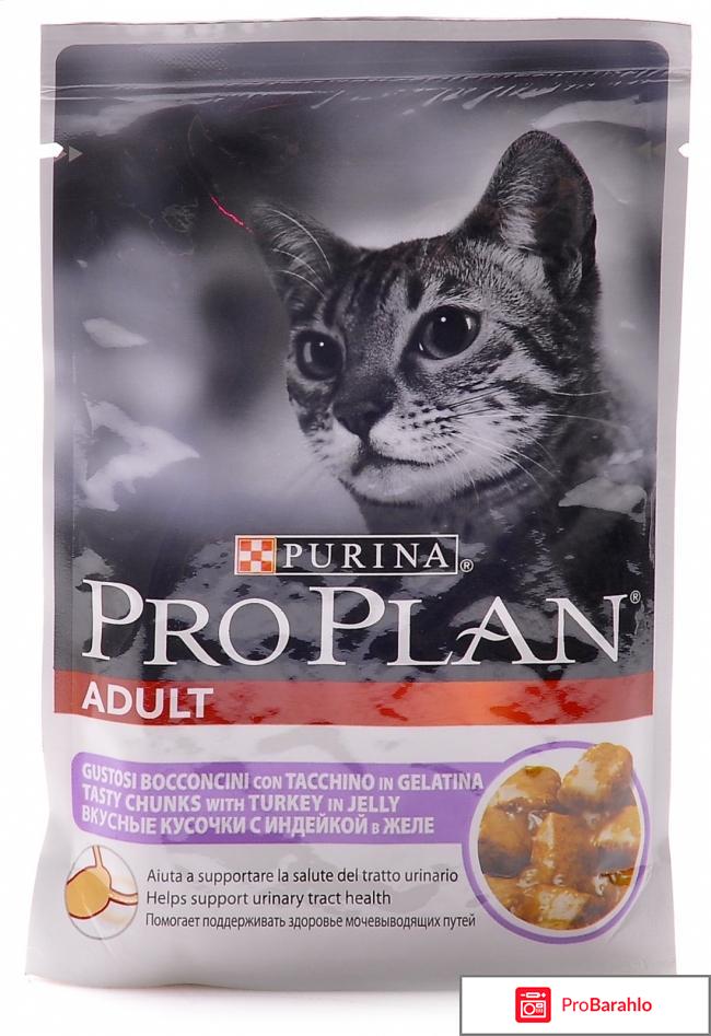 Purina pro plan для кошек отзывы 