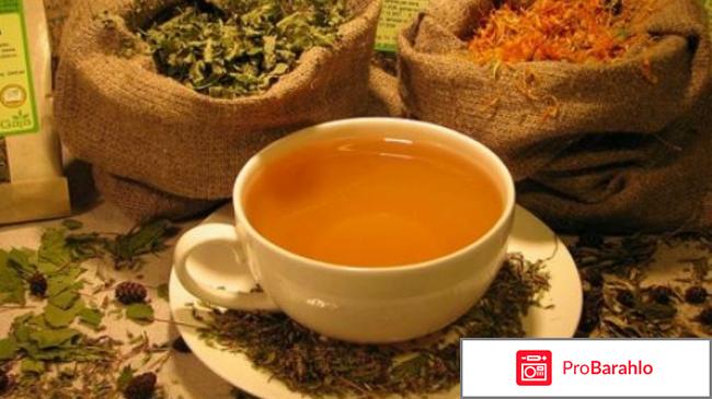 Монастырский чай как приготовить 