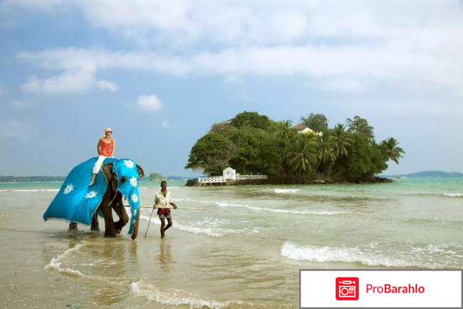 Шри ланка в декабре отзывы туристов 