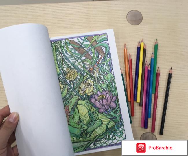 63pokupki ru отрицательные отзывы