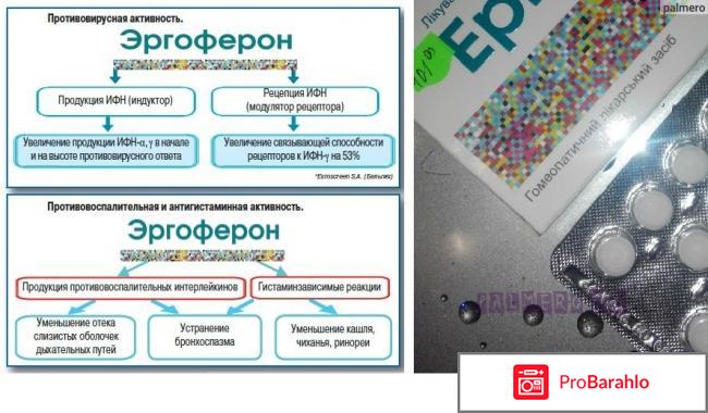 Эргоферон отзывы специалистов обман