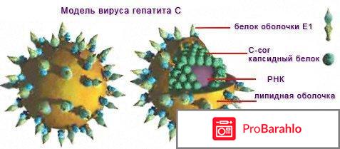 Daclavirocyrl отрицательные отзывы