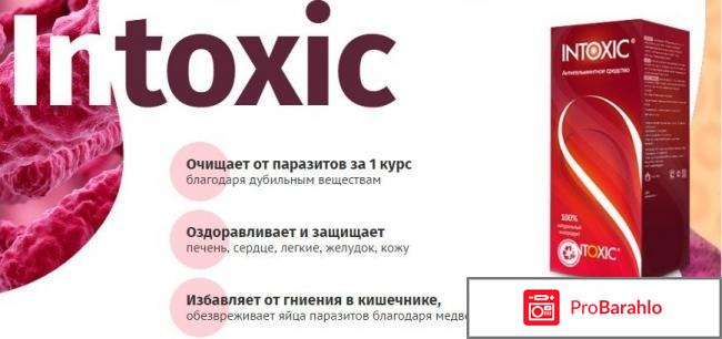 Intoxic отрицательные отзывы реальные отзывы